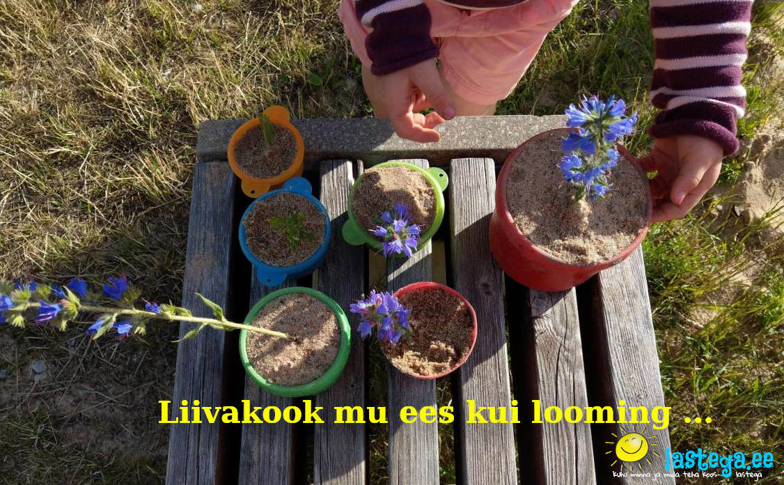Kohvikusse lähen ma ja liivakook mu ees kui looming. @Ülle Rand Kohvikusse lähen ma ja liivakook mu ees kui looming. @Ülle Rand