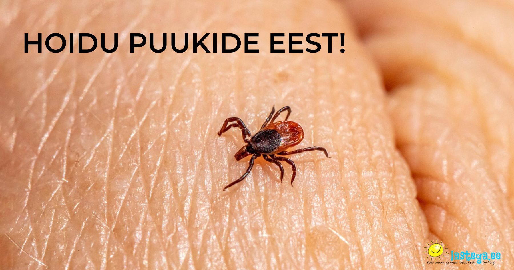 Puugid eemale! Vaata, milliseid looduslikke vahendeid tuntakse kui häid puughiaiguste ennetajaid! Foto Pixabi Puugid eemale! Vaata, milliseid looduslikke vahendeid tuntakse kui häid puughiaiguste ennetajaid! Foto Pixabi