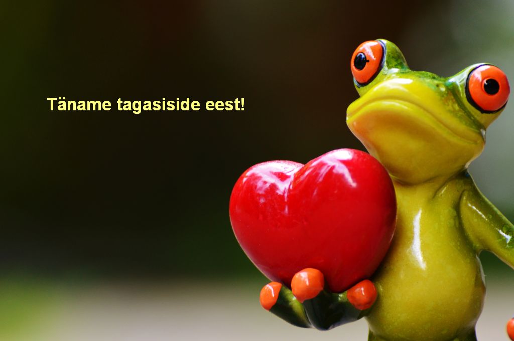 taname tagasisisde eest