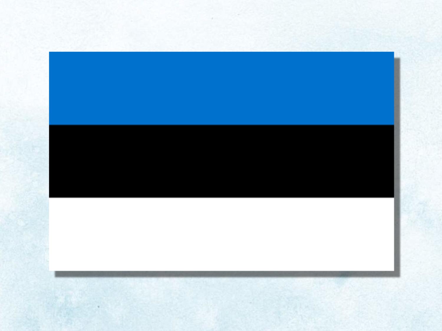 Eesti riigilipp