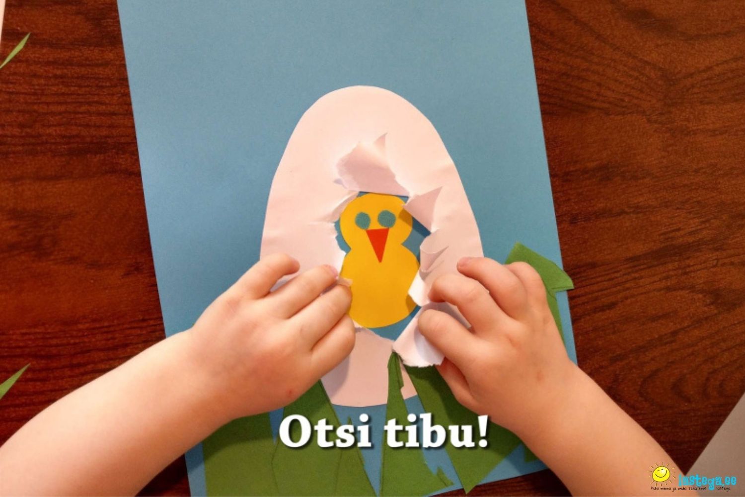 Laps tegi üllatusega munadepühakaardi - ta peotis tibu muna sisse ära