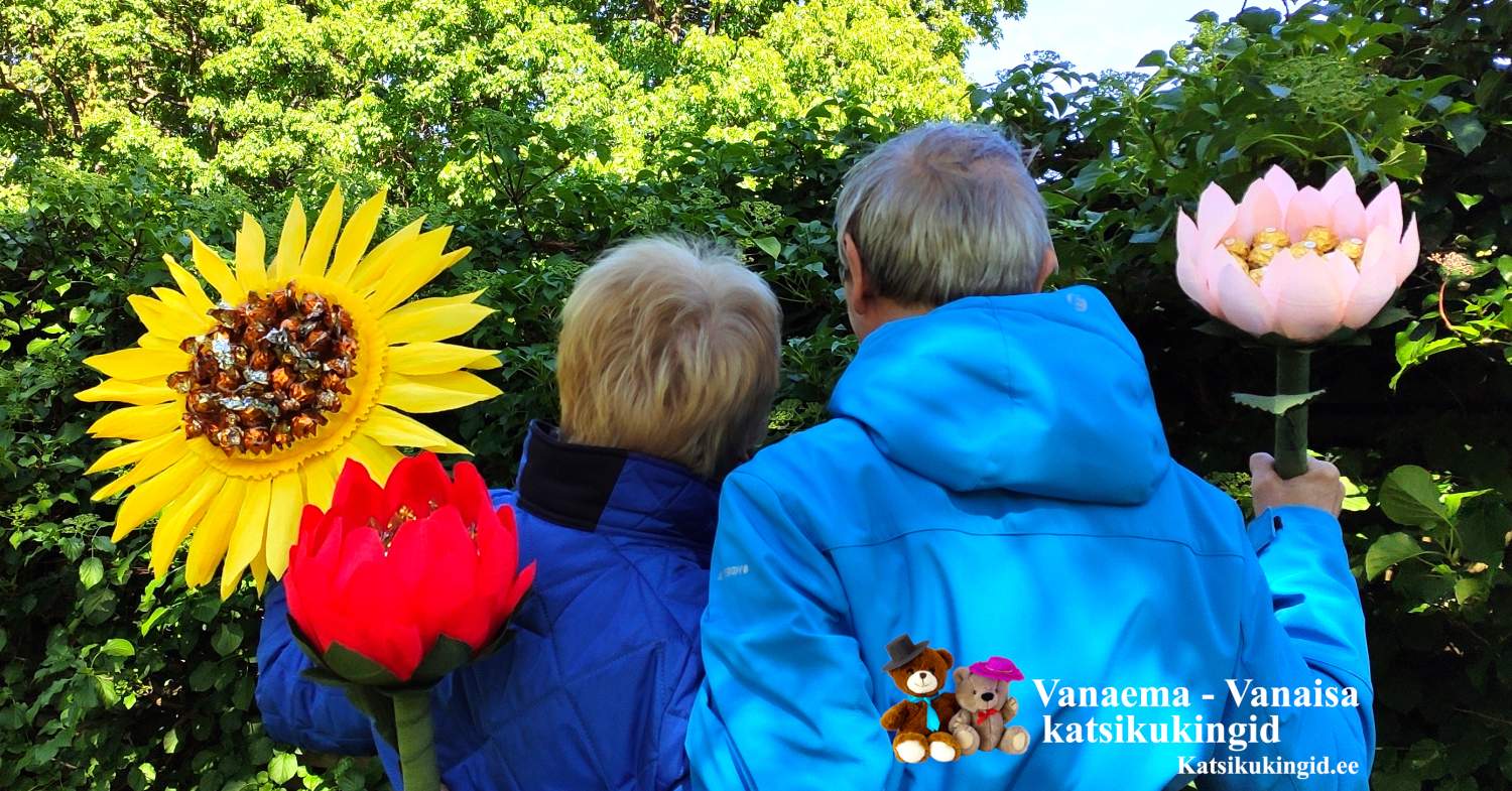 Vanaema - Vanaisa kommililled: kommidest tehtud magusad ja söödavad lillekimbud! Vanaema - Vanaisa kommililled: kommidest magusad ja söödavad lillekimbud!