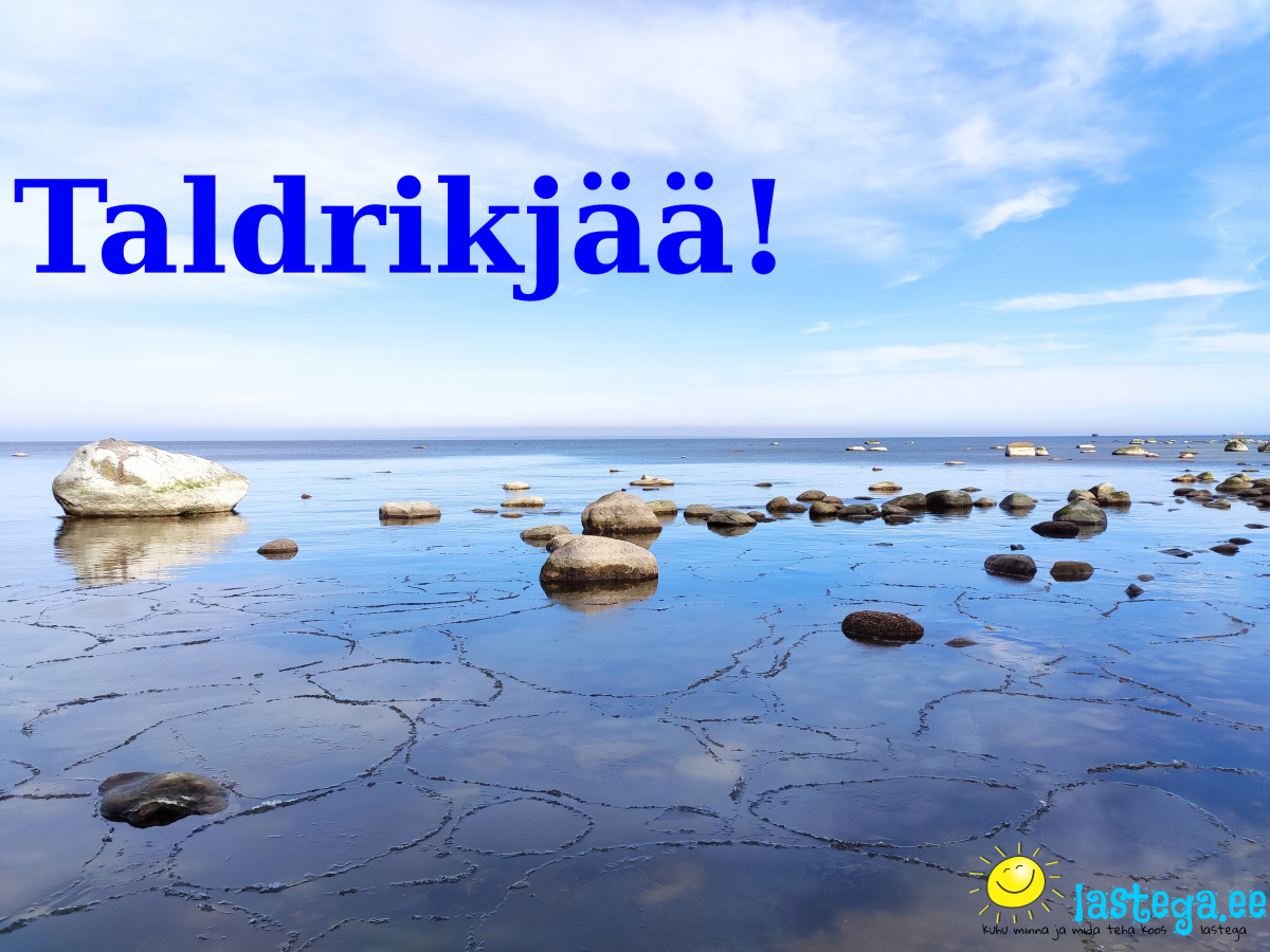 Taldrikjää on üks merejää liikidest! Taldrikjää on üks merejää liikidest!