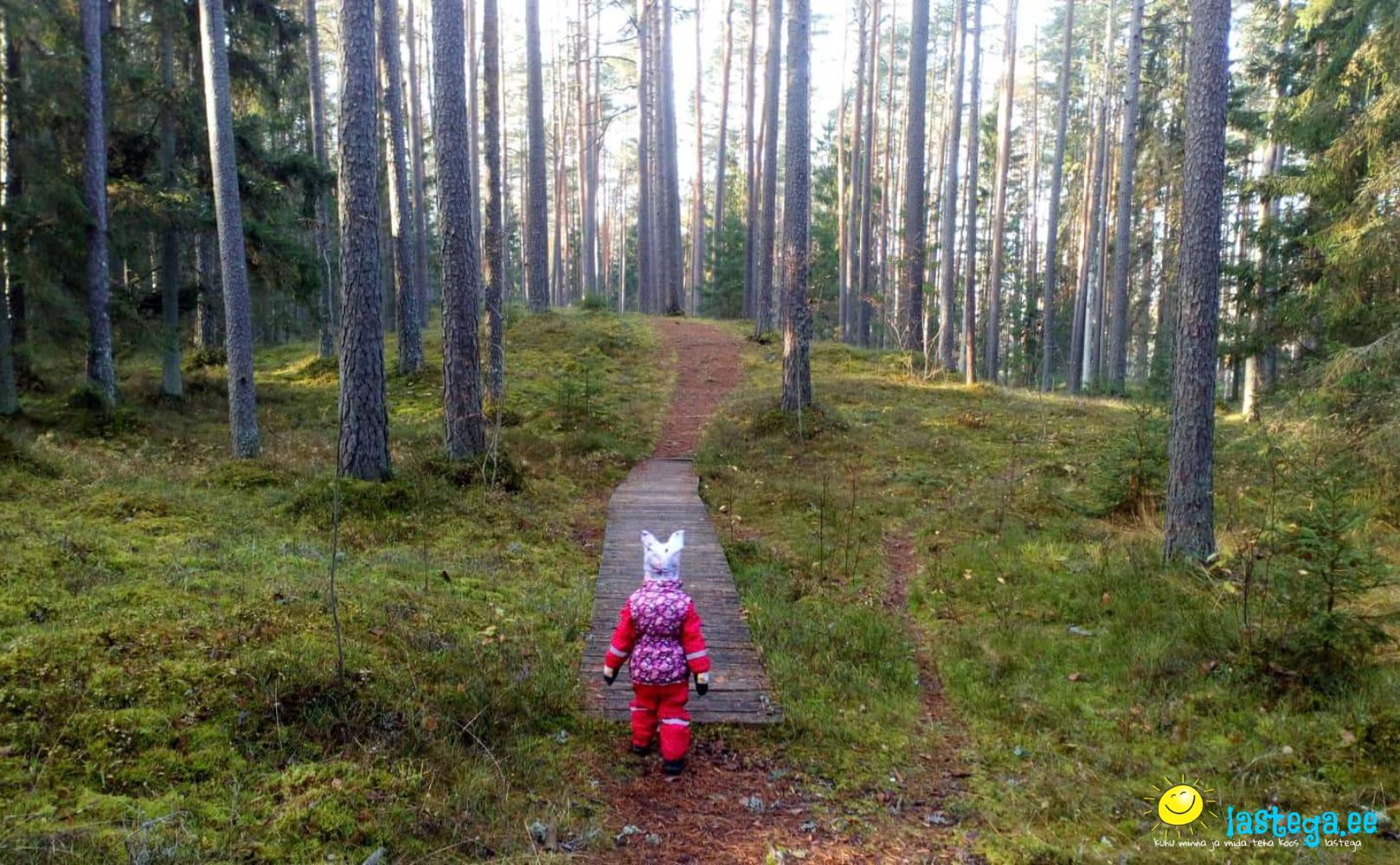 Lapsed matkamas Eesti looduses - kodumaa teemalise luuletuse juurde.