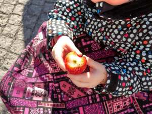 Rootsi  turu talvised maasikad