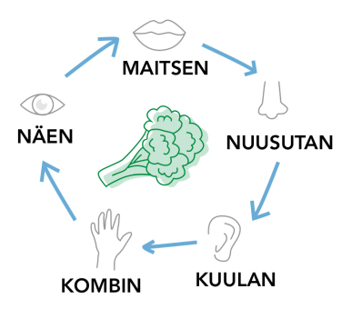 Last õpetatakse sööma toitu, kasutades kõiki viit meelt: