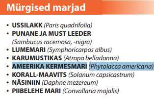 mürgised marjad