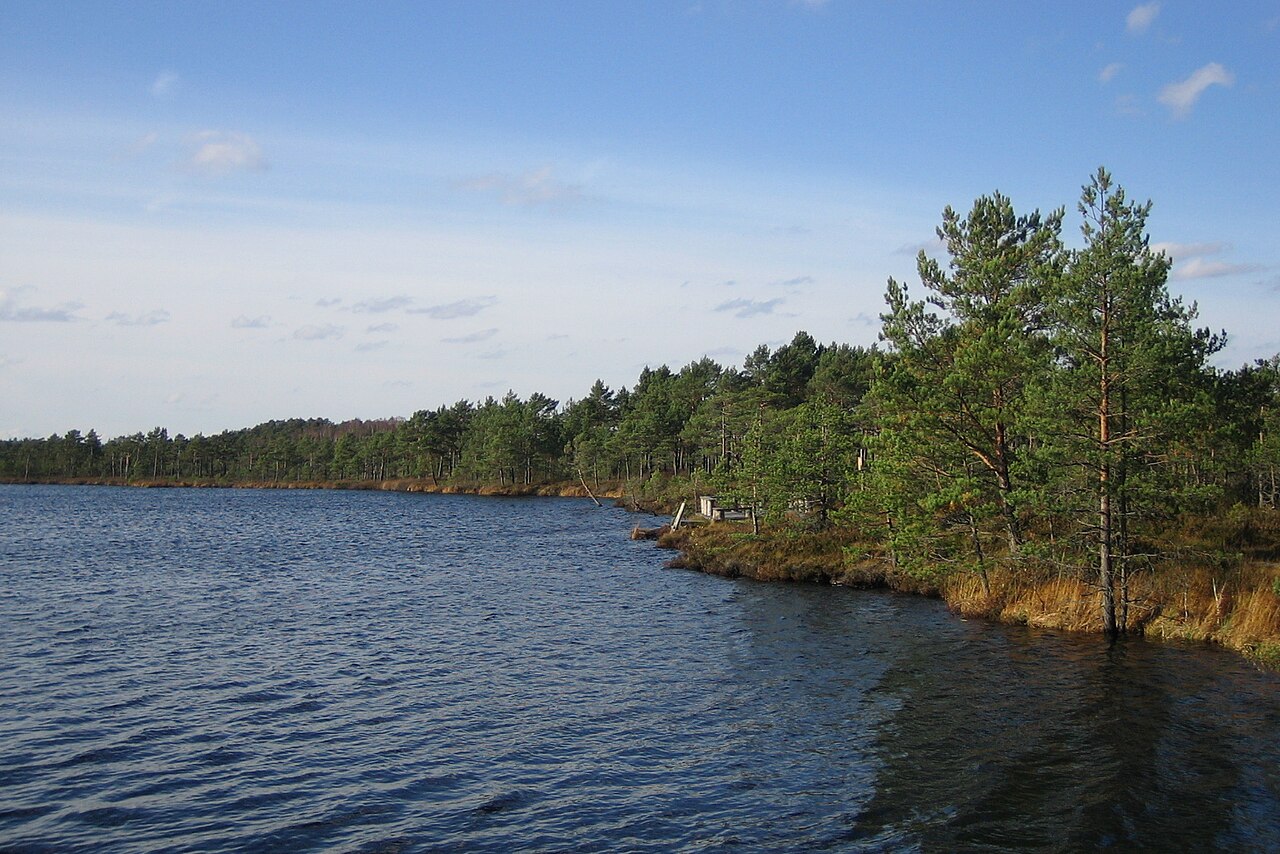 Öödi järv