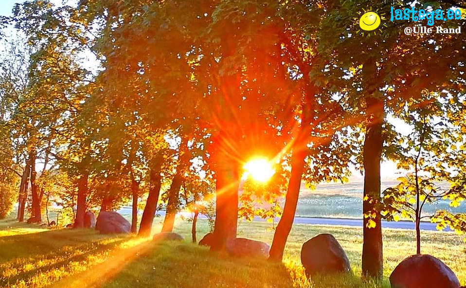 Vara tõusen, et sind kohata. Sind näha ja salaja ohata. @Ülle Rand