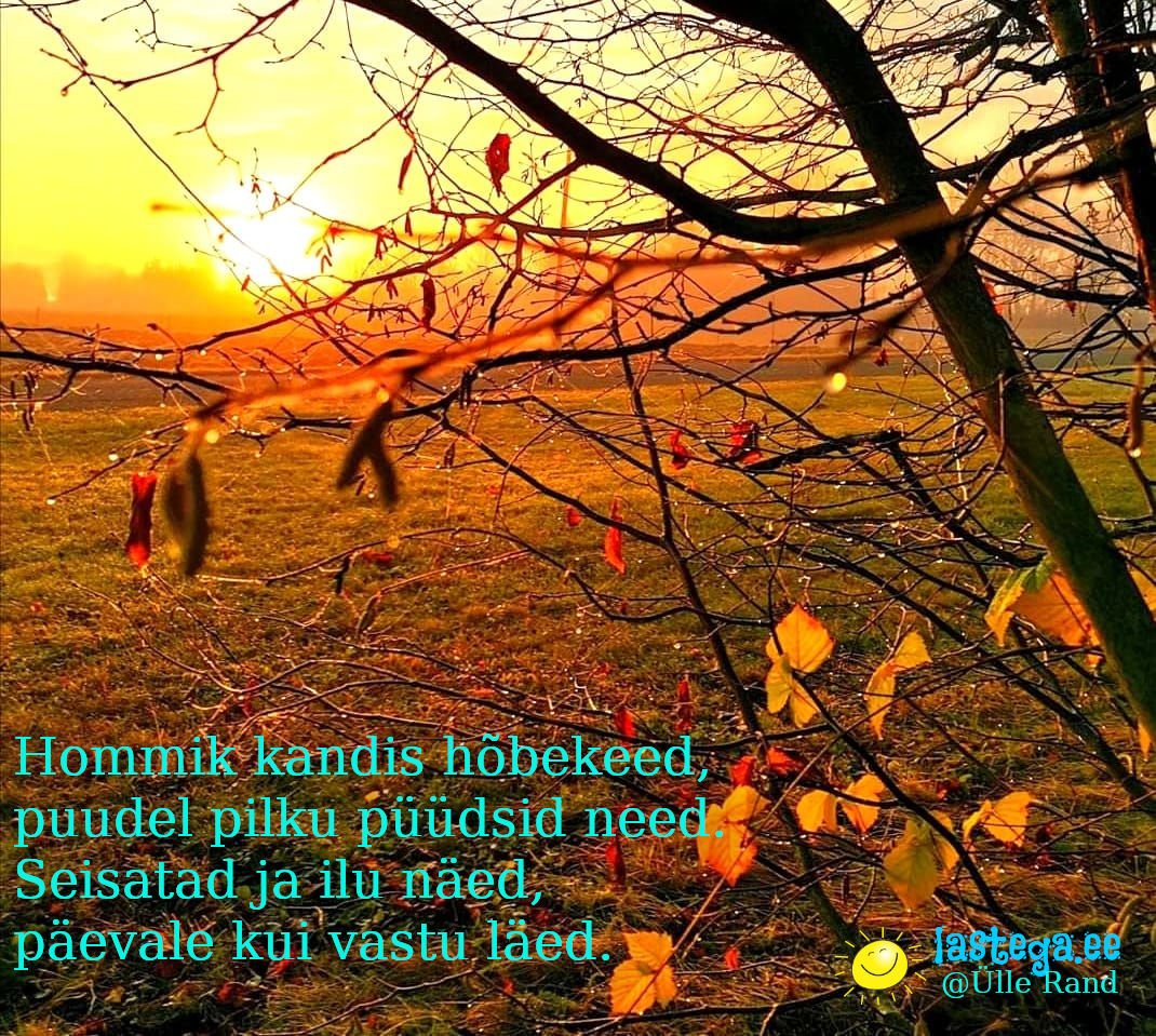 SÜGIS: Luuletus ja foto sügisesest hommikust. @Ülle Rand