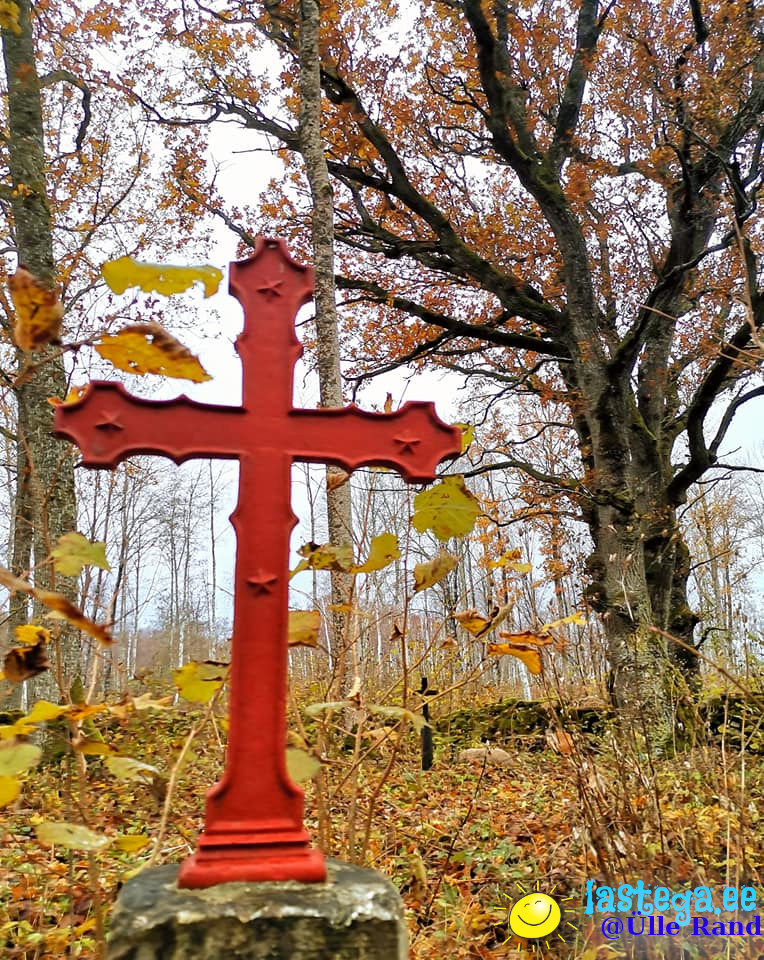 HINGEDEPÄEVa jalutuskäik Karja vanal kalmistul. Luuletuse ja foto autor on Ülle Rand.