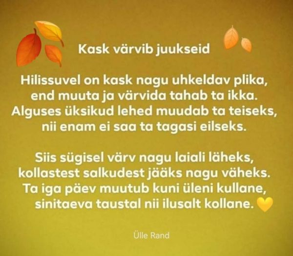 SÜGISEL värvib kask juukseid. Luuletus, autor Ülle Rand.