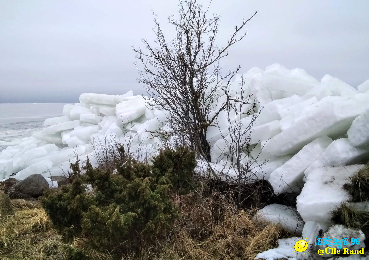 Jää on randa tulnud vara. Luuletus ja foto @Ülle Rand