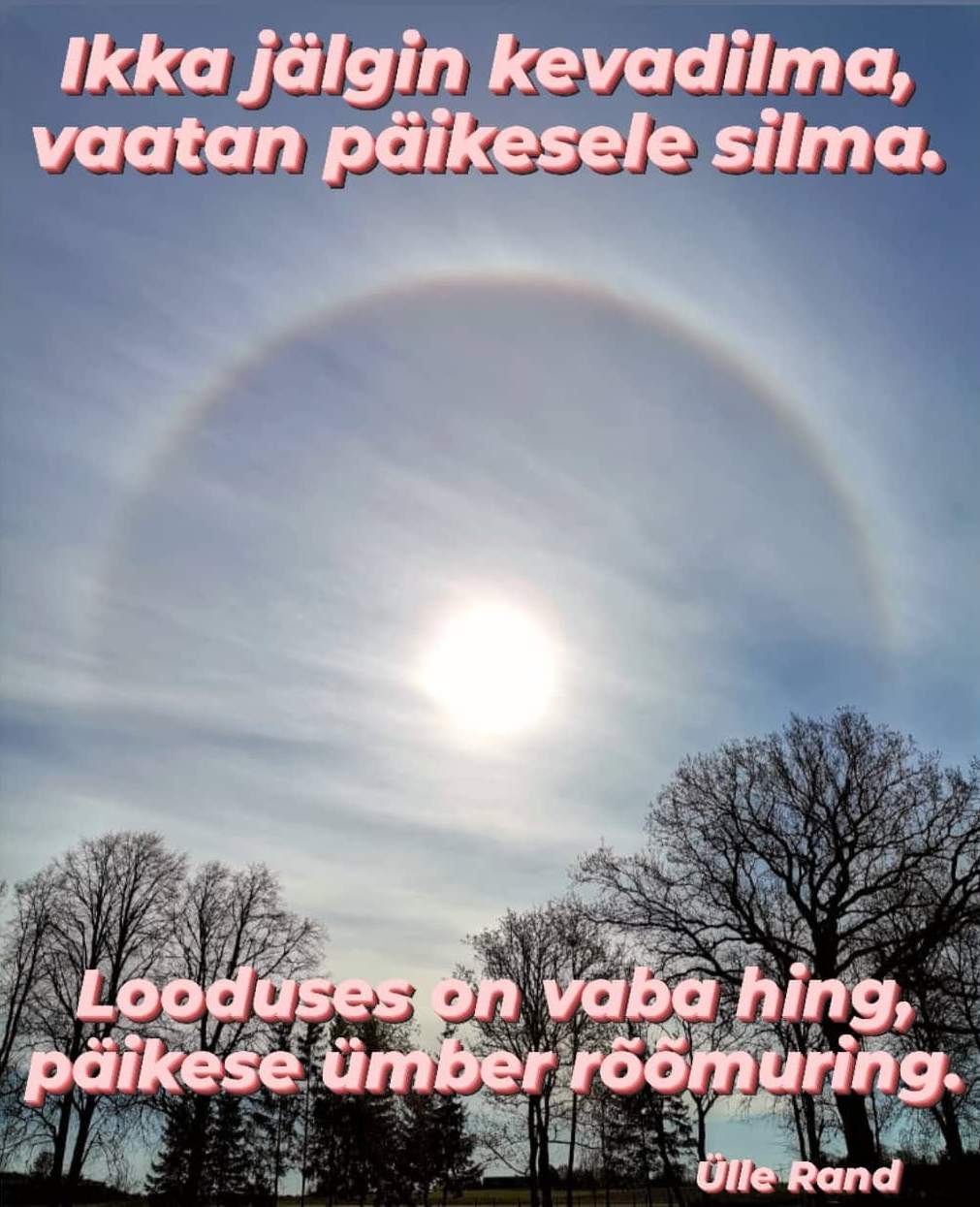 Ikka jälgin kevadilma, vaatan päikesele silma. @Ülle Rand