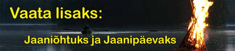 Jaanipäevaks vajalikke mõtteid leiad siit