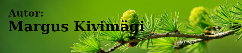 Margus Kivimäe luuletusi vaata siit!