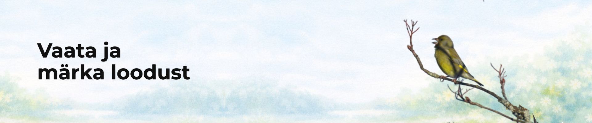 Linnuke - rohevint- istub oksal kevadises looduses. See on rubriigi "Vaata ja märka" avapilt.