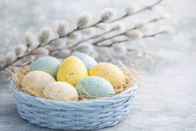 Pastelses korvis on värvitud munadepühamunad ja kajuurbadega pajuoksad.