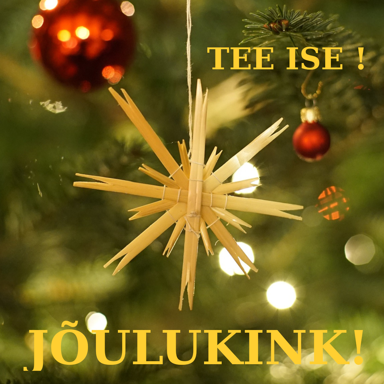 Jõulukink tee ise Jõulukink tee ise koos lastega