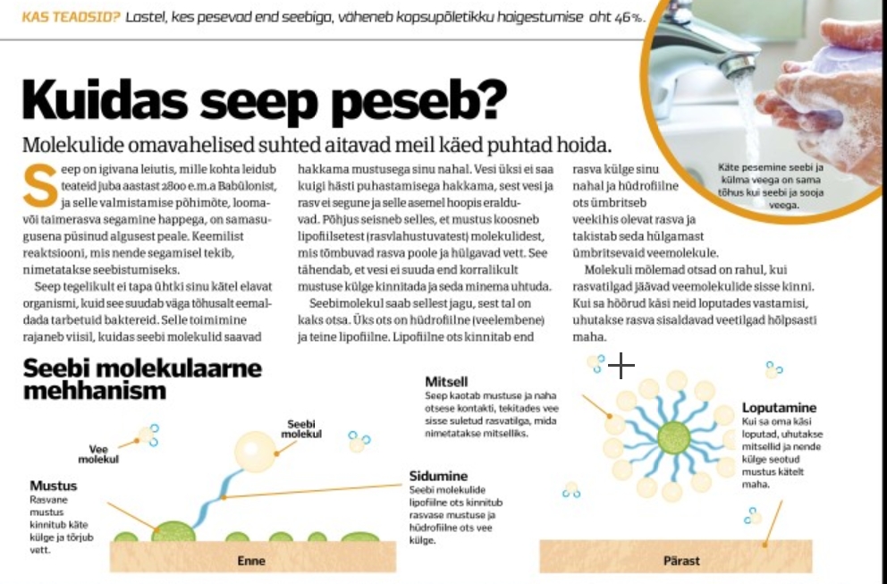kuidas seep peseb? kuidas seep peseb?