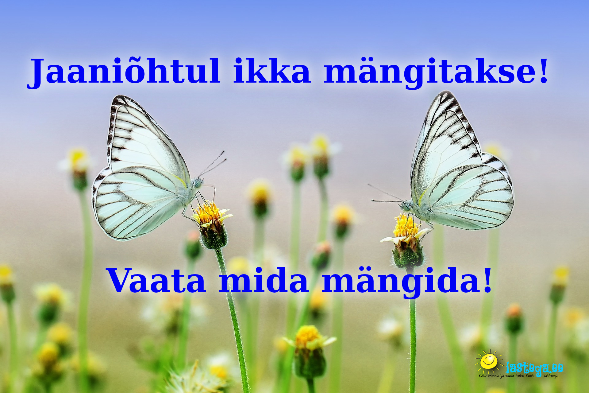 Jaanipäeva MÄNGUD