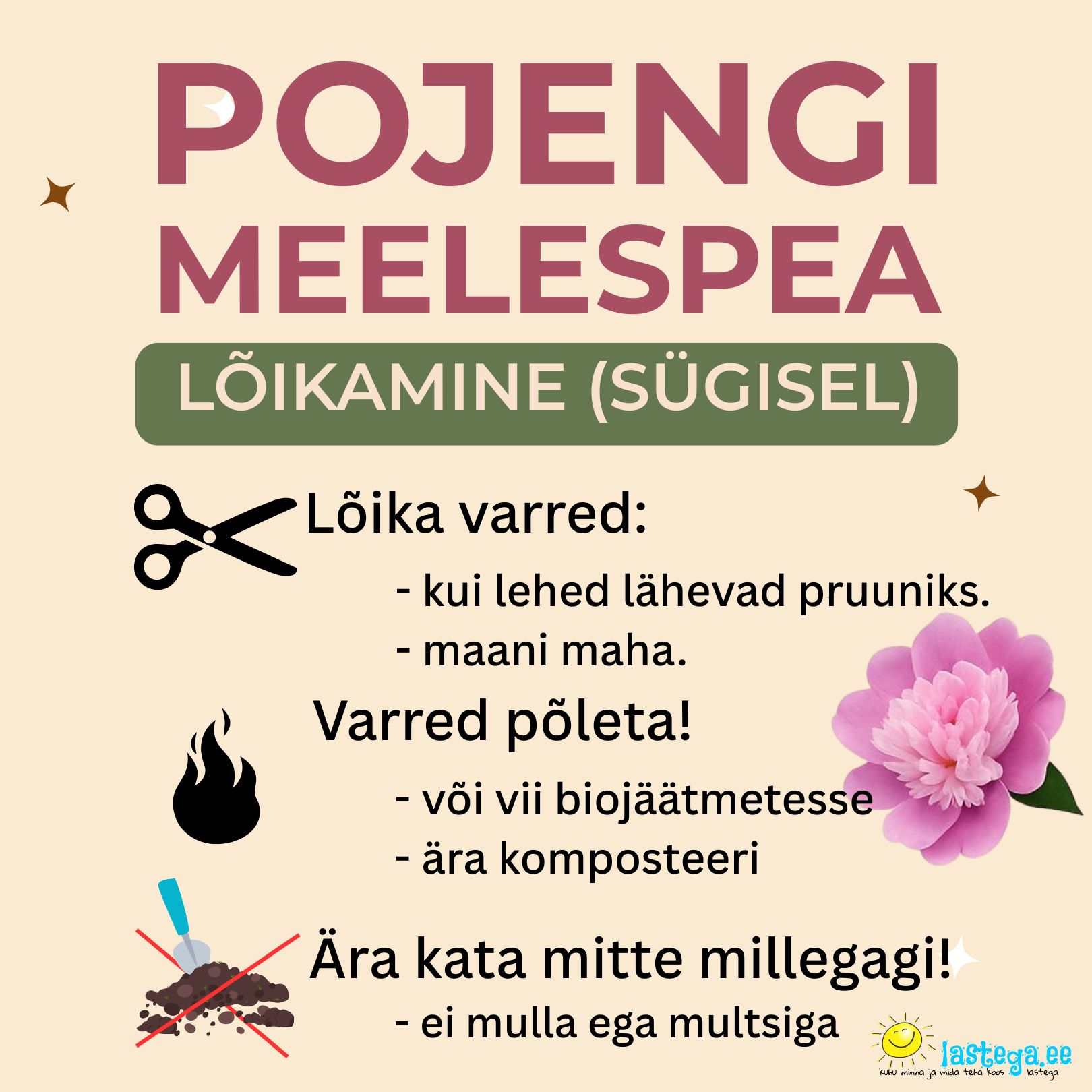 Juhend pojengide sügiseseks lõikamiseks. Kokkuvõte aedniku soovitustest. @Lastega.ee
