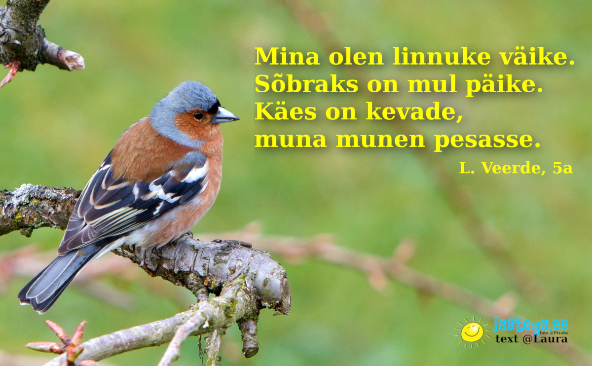 luuletus kevadest "Mina olen linnuke väike", autor 5a. Laura