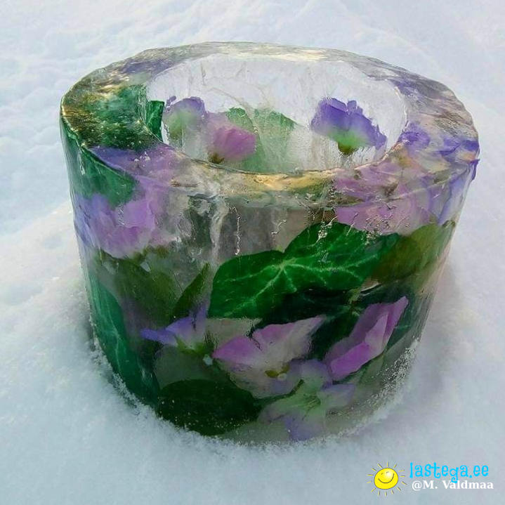 Mae jäälatern