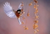 K&auml;i aina julgelt p&uuml;stip&auml;i