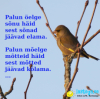 Palun &ouml;elge s&otilde;nu h&auml;id
