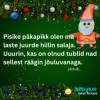 Pisike p&auml;kapikk olen ma.