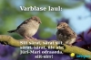 Varblase laul