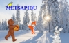 Metsapidu