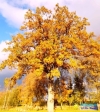Looduse garderoob