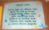 Terve laps