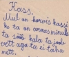 Mul on korvis kassike,