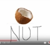 Kookosp&auml;hkli laul / The Coconut Song