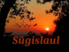 S&uuml;gislaul
